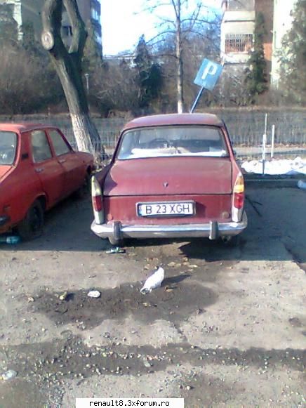 . alte batrane surprinse in romania