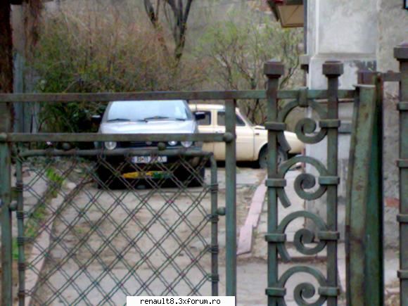 dauphine ascuns alte batrane surprinse in romania