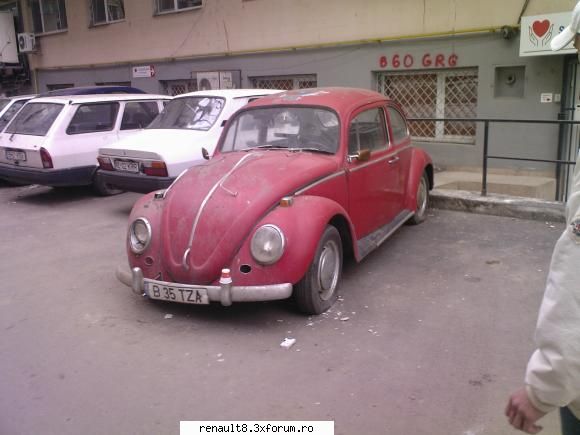 broask alte batrane surprinse in romania