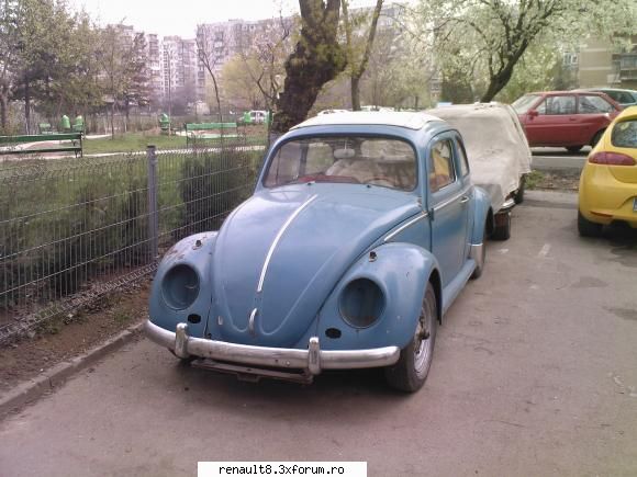 poza 3 alte batrane surprinse in romania