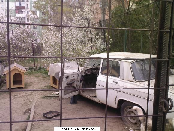e jale ce-i mananca cainii aia alte batrane surprinse in romania