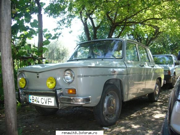 poza b-14-cvf  dragsilv74