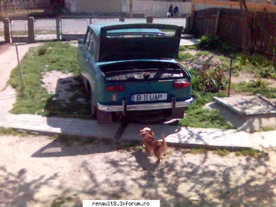poza 9 b 11 uap cosmin