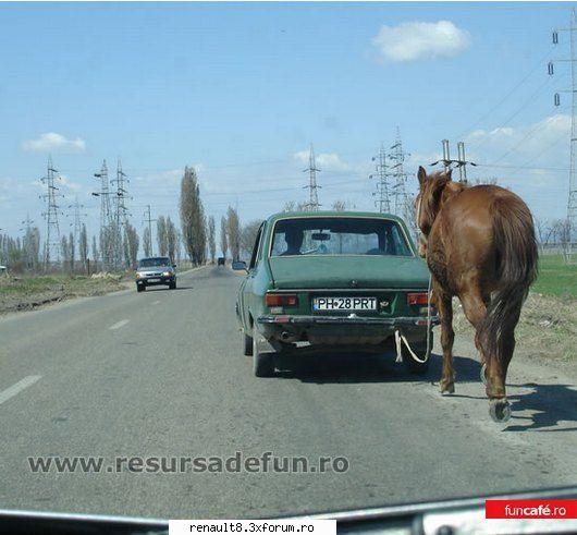 tare poze  (interzis sub 18 ani! :d)