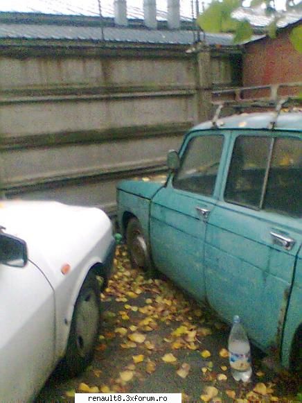 19 sutici aka dacia 1100 exclusiv !!!!!